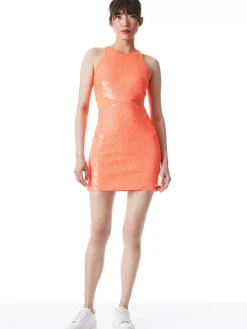 CARA SEQUIN MESH CUT OUT MINI DRESS