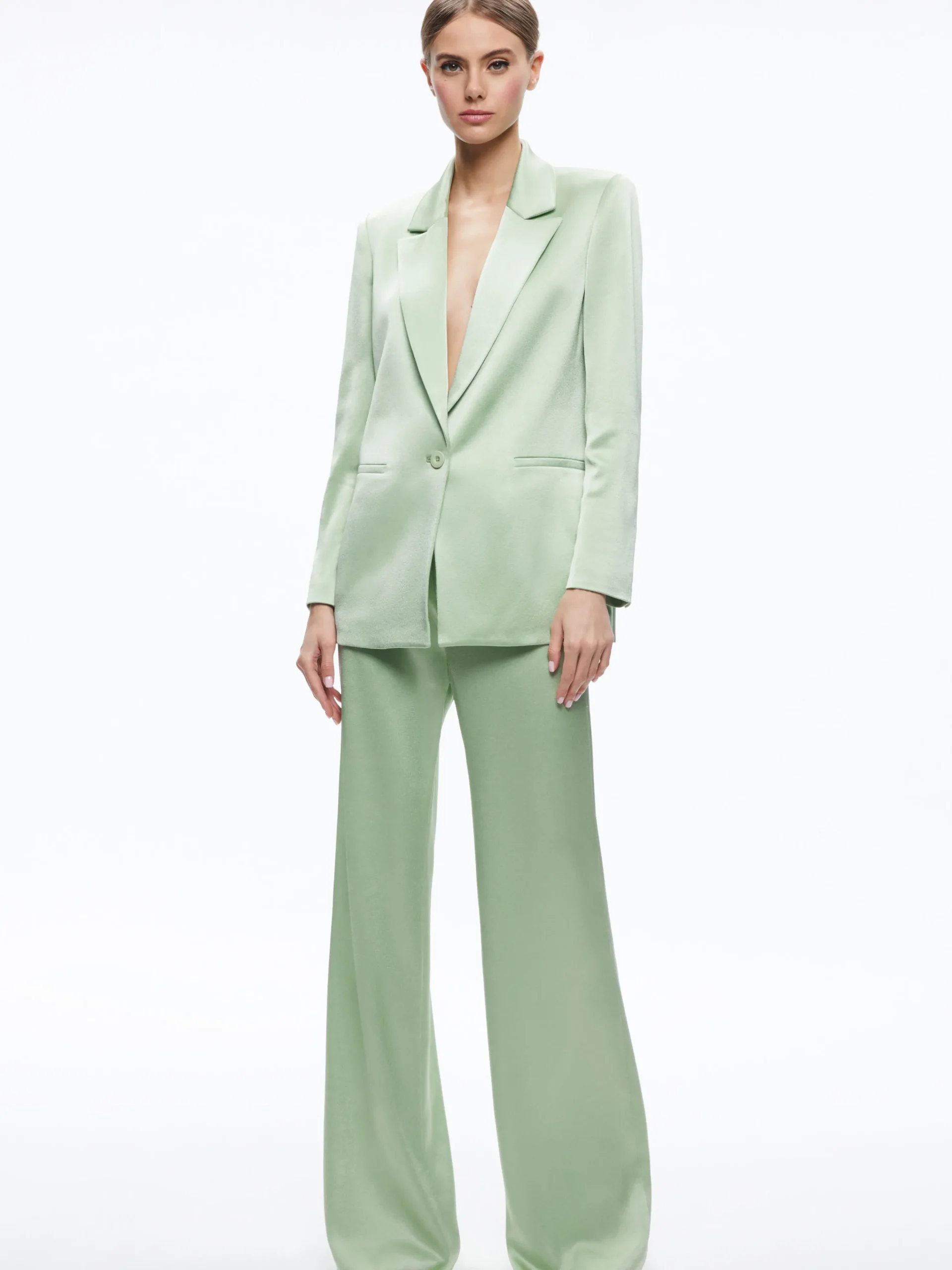 DENNY NOTCH COLLAR BOYFRIEND BLAZER