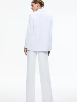 DENNY NOTCH COLLAR BOYFRIEND BLAZER