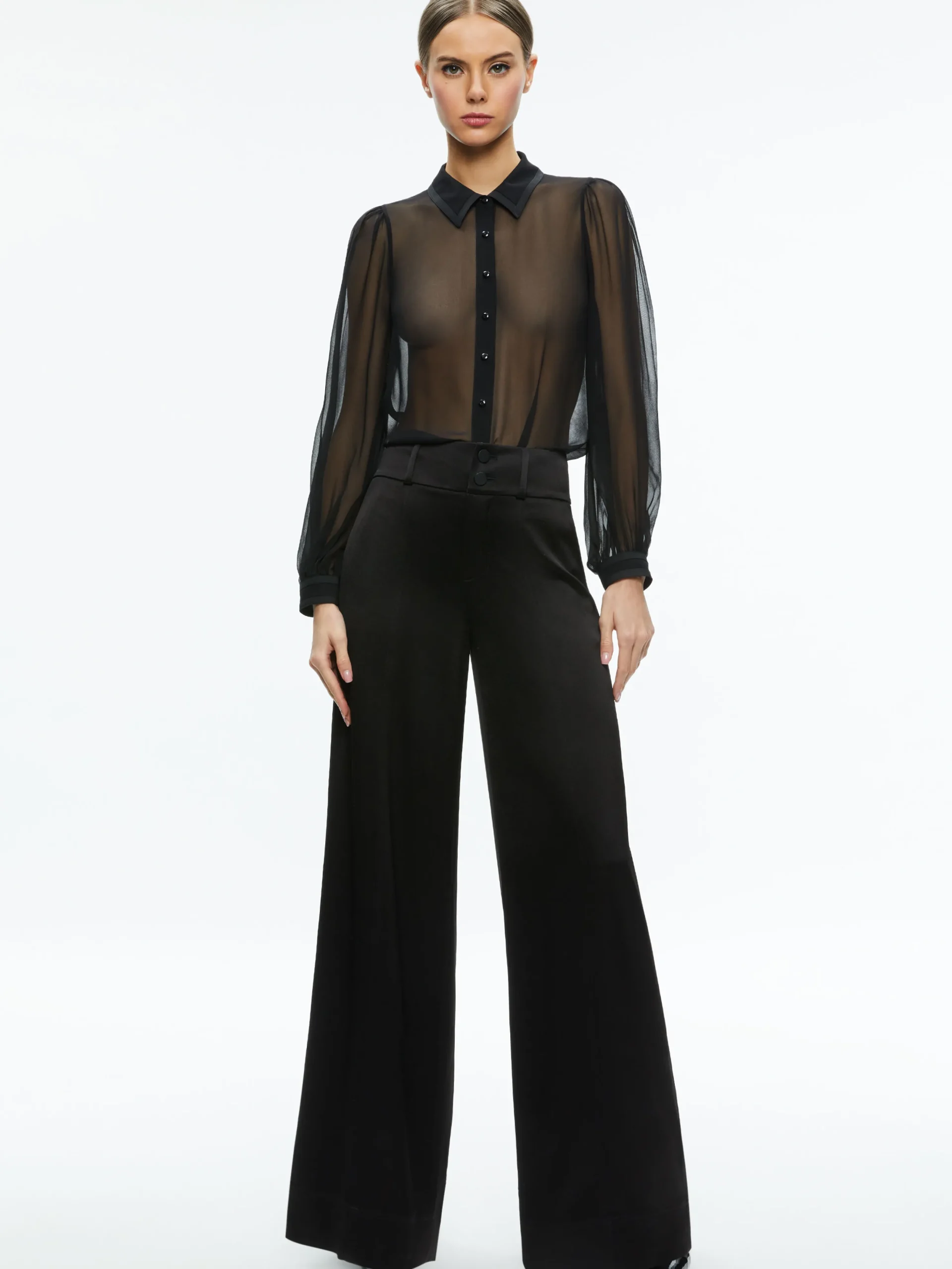 ROANNE SHEER BLOUSE