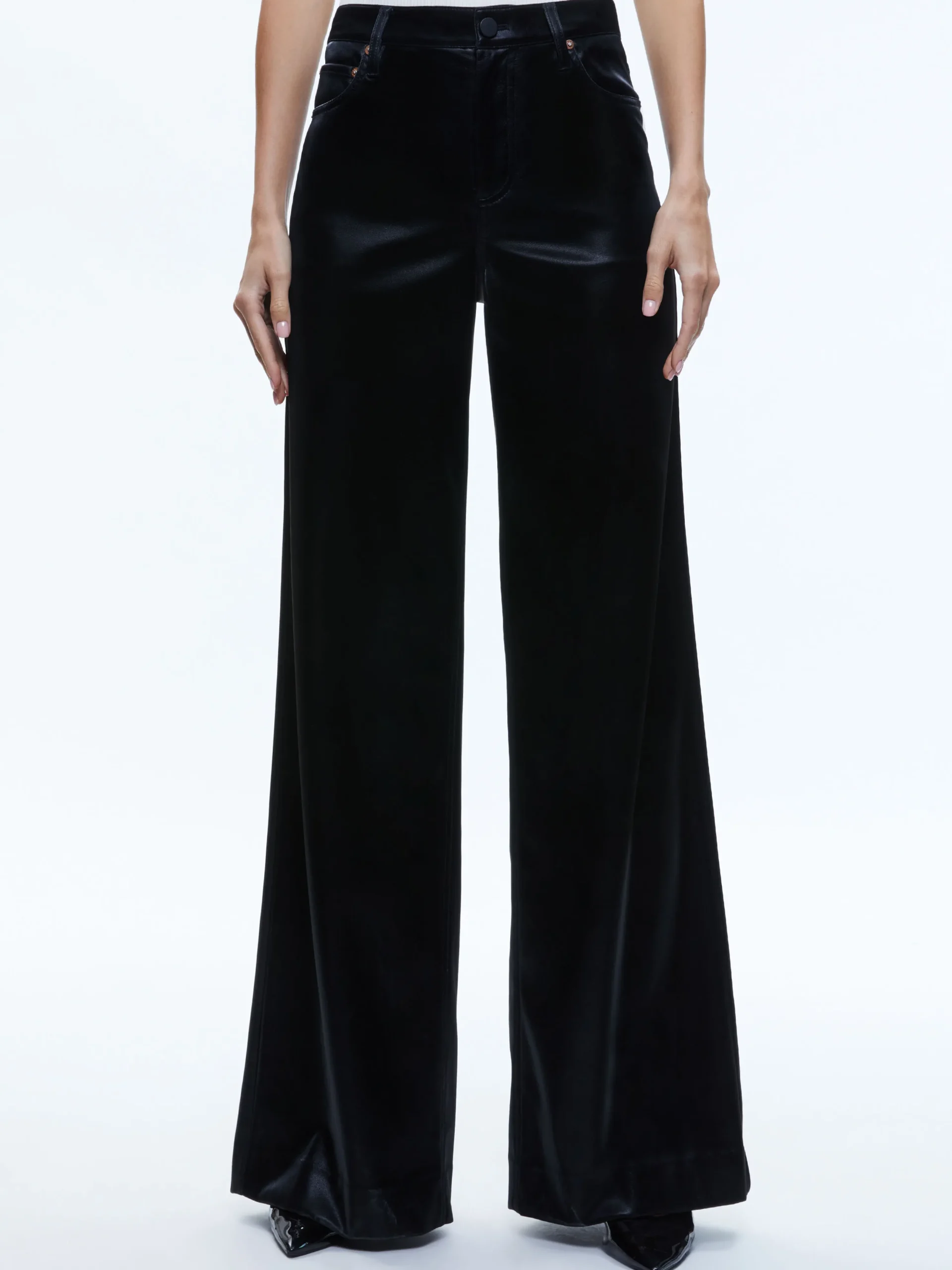 TRISH SHINY VEGAN LEATHER BAGGY PANT